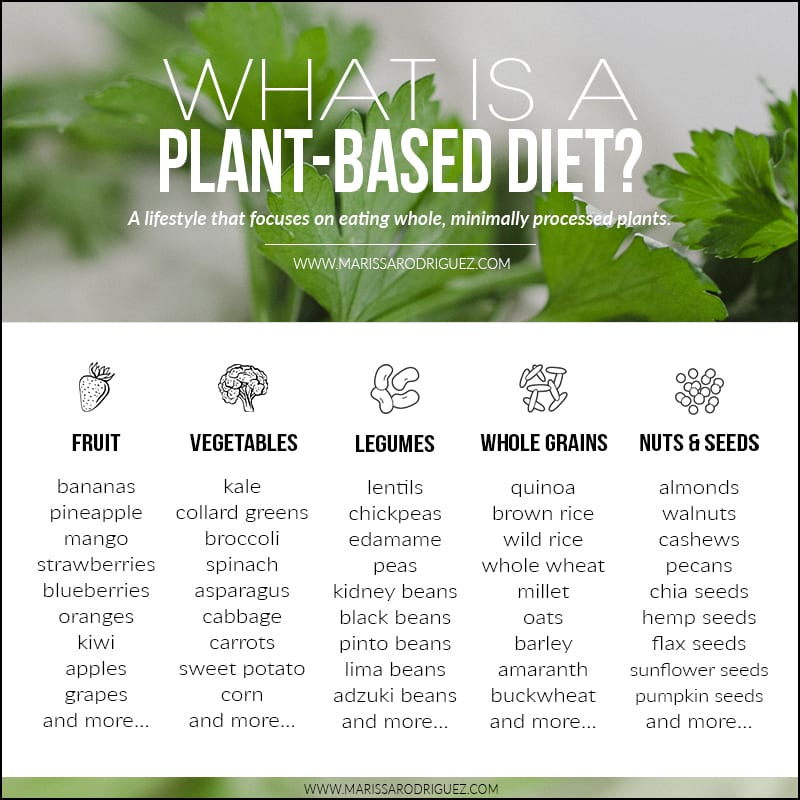 What Is A Plant Based Diet Chart1