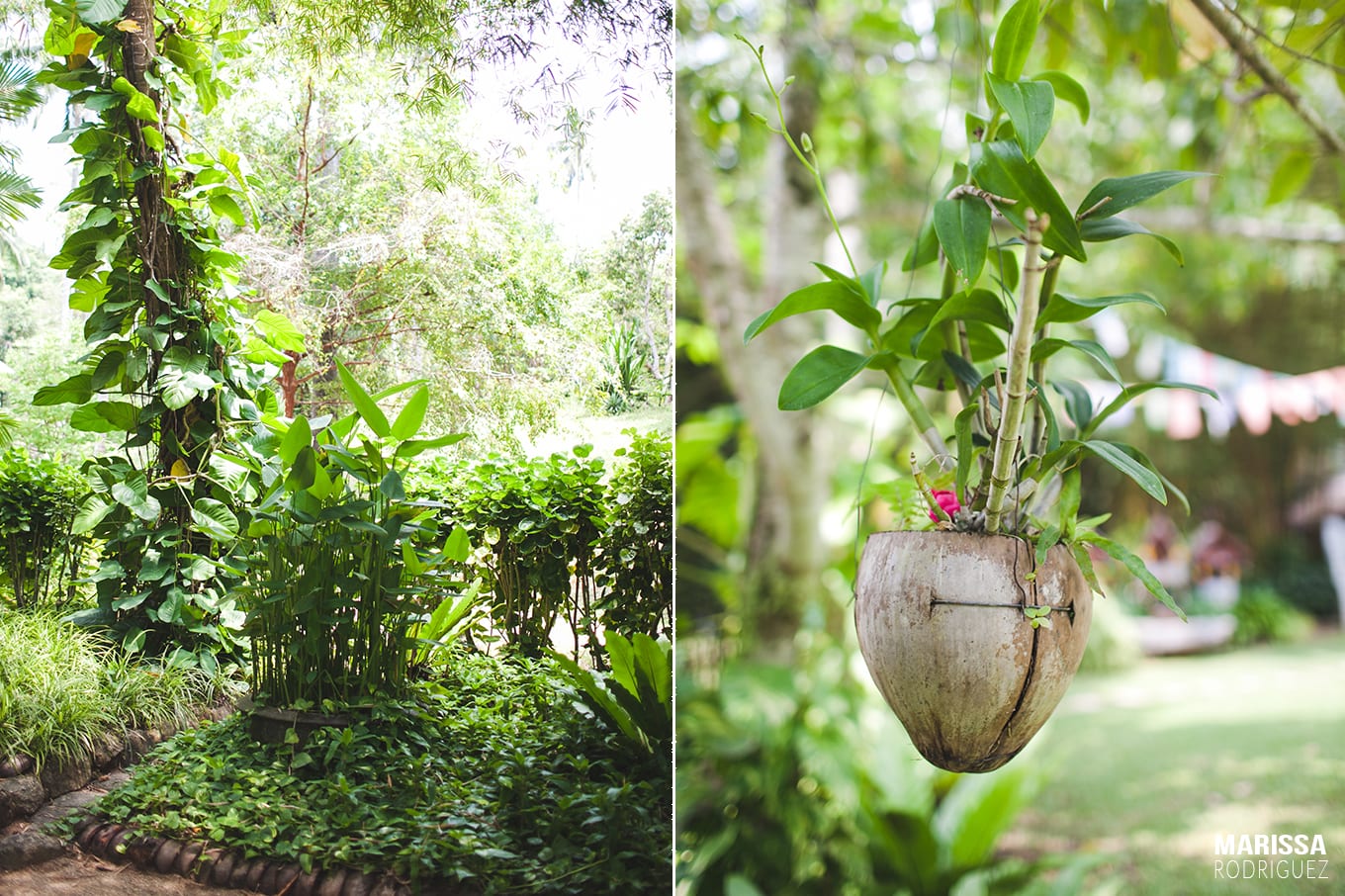 brunch at tamarind springs_koh samui_vegan