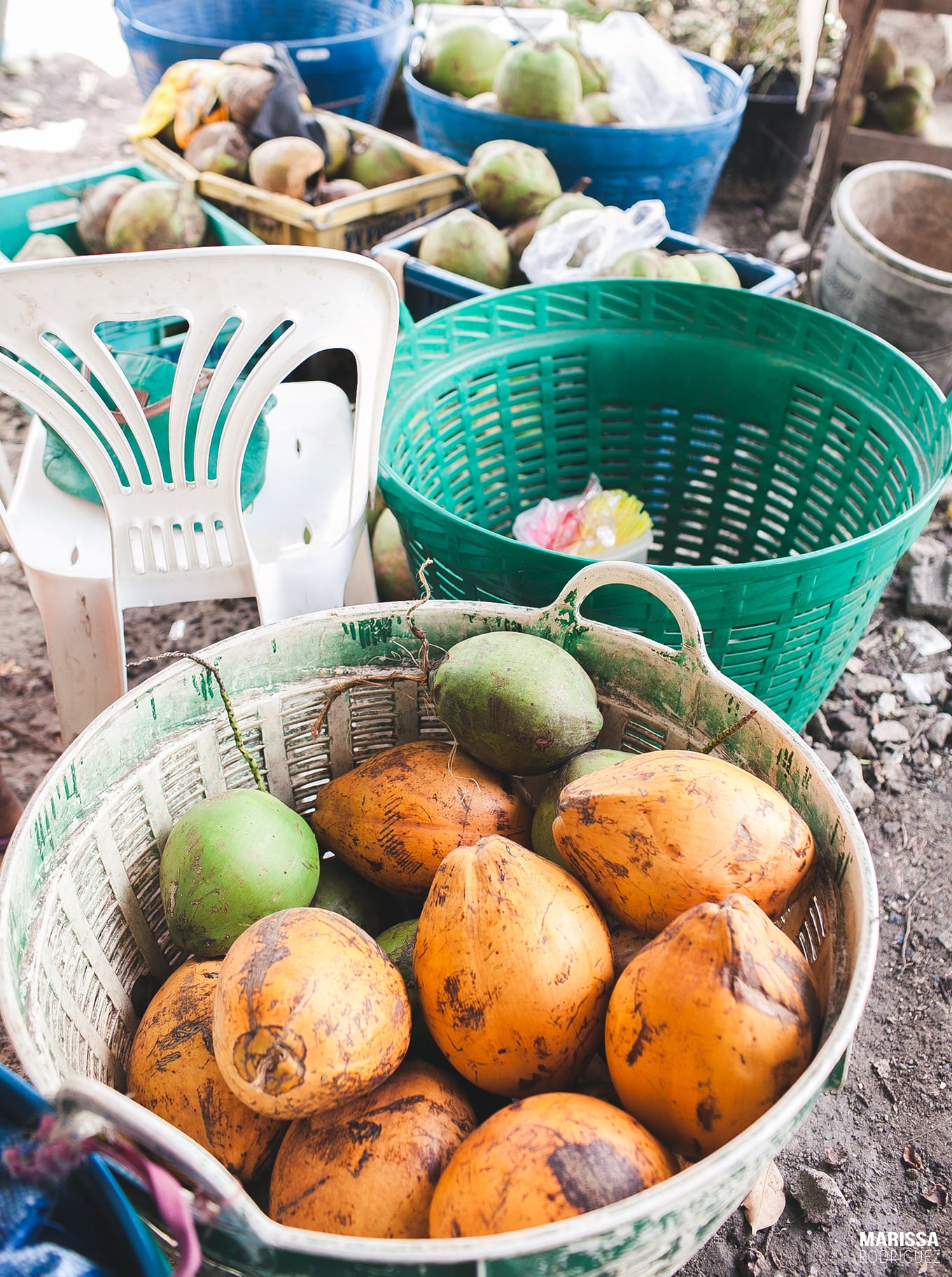 fresh coconuts_thailand