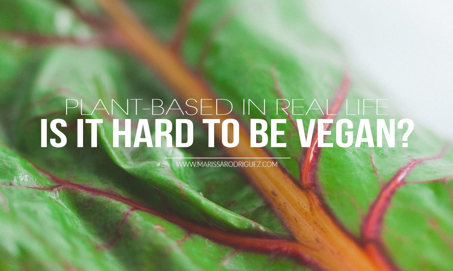 is it hard to be vegan