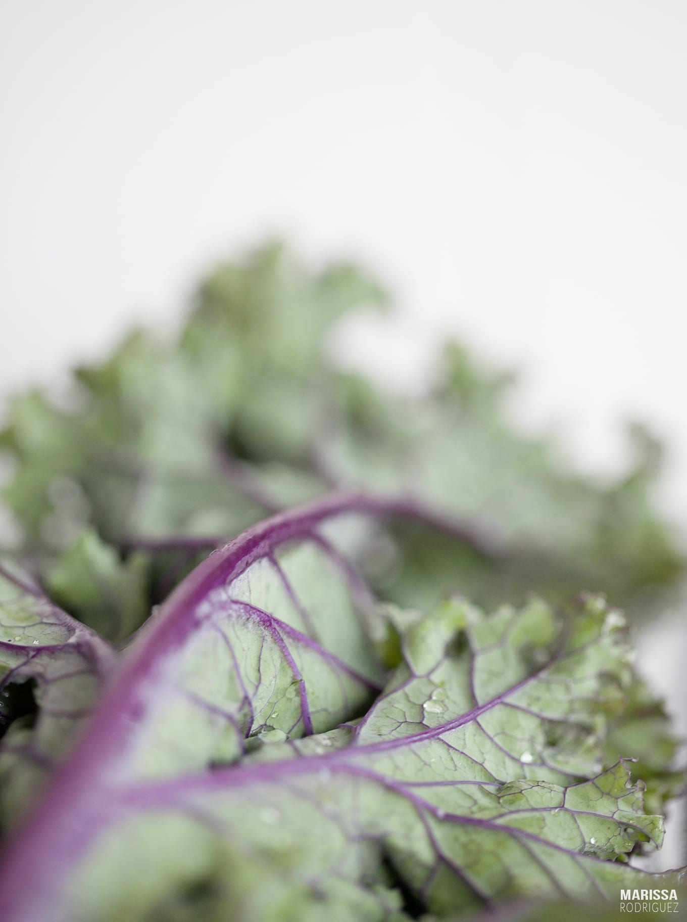 kale-benefits of going vegan