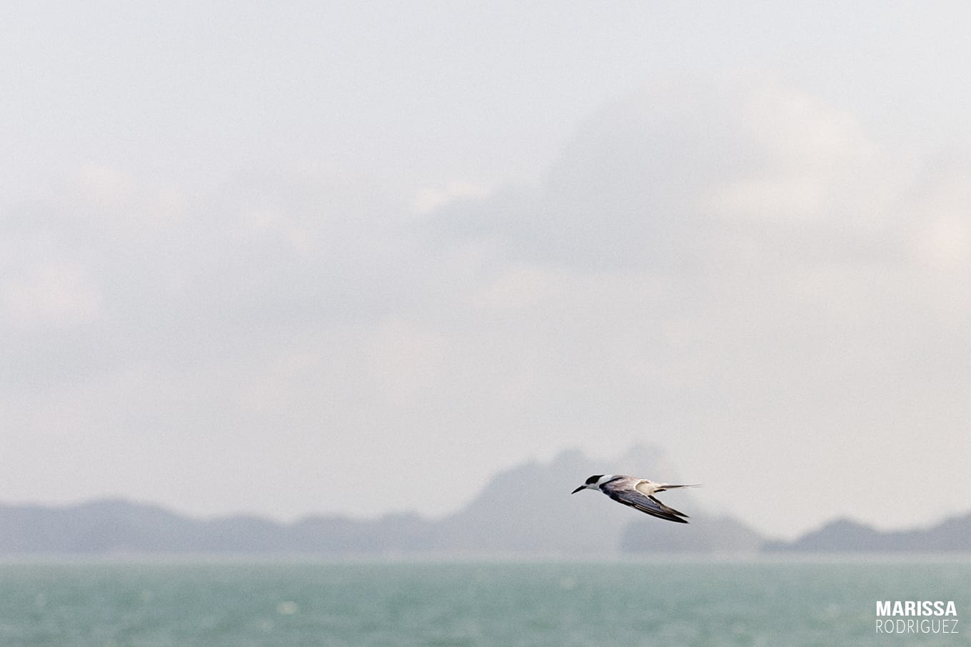 riding the ferry to ko samui_thailand